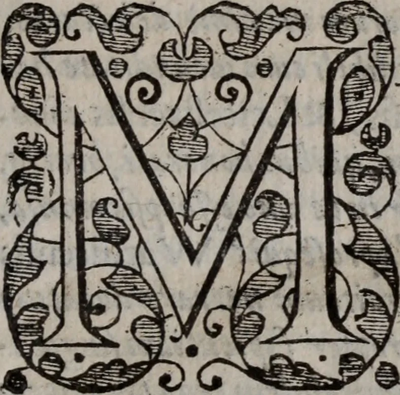 An illustration from Alberici Gentilis De legationibus, libri tres, 1585, leaf 6