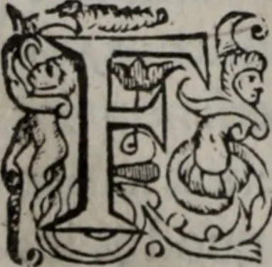 An illustration from Alberici Gentilis De legationibus, libri tres, 1585, leaf 73