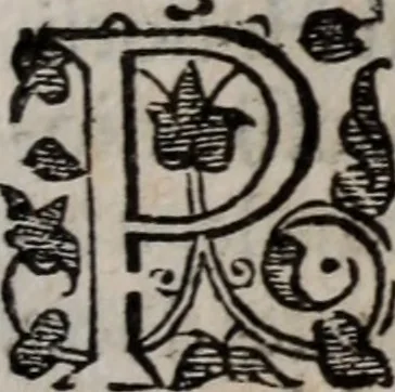 An illustration from Alberici Gentilis De legationibus, libri tres, 1585, leaf 86