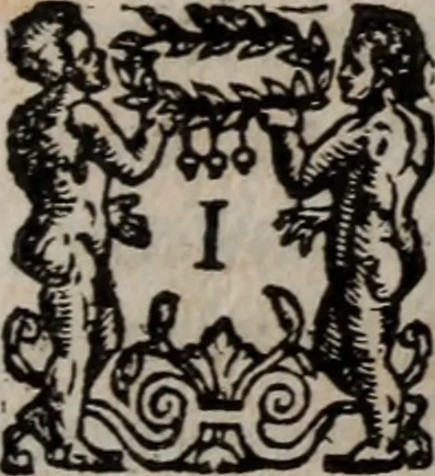 An illustration from Alberici Gentilis De legationibus, libri tres, 1585, leaf 88