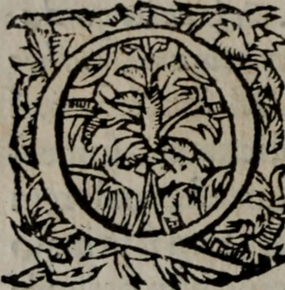 An illustration from Alberici Gentilis De legationibus, libri tres, 1585, leaf 91