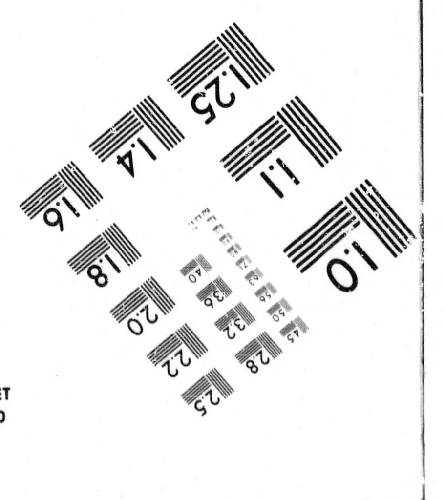 An illustration from Diamond Dye rug book [microform], 1899, leaf 0