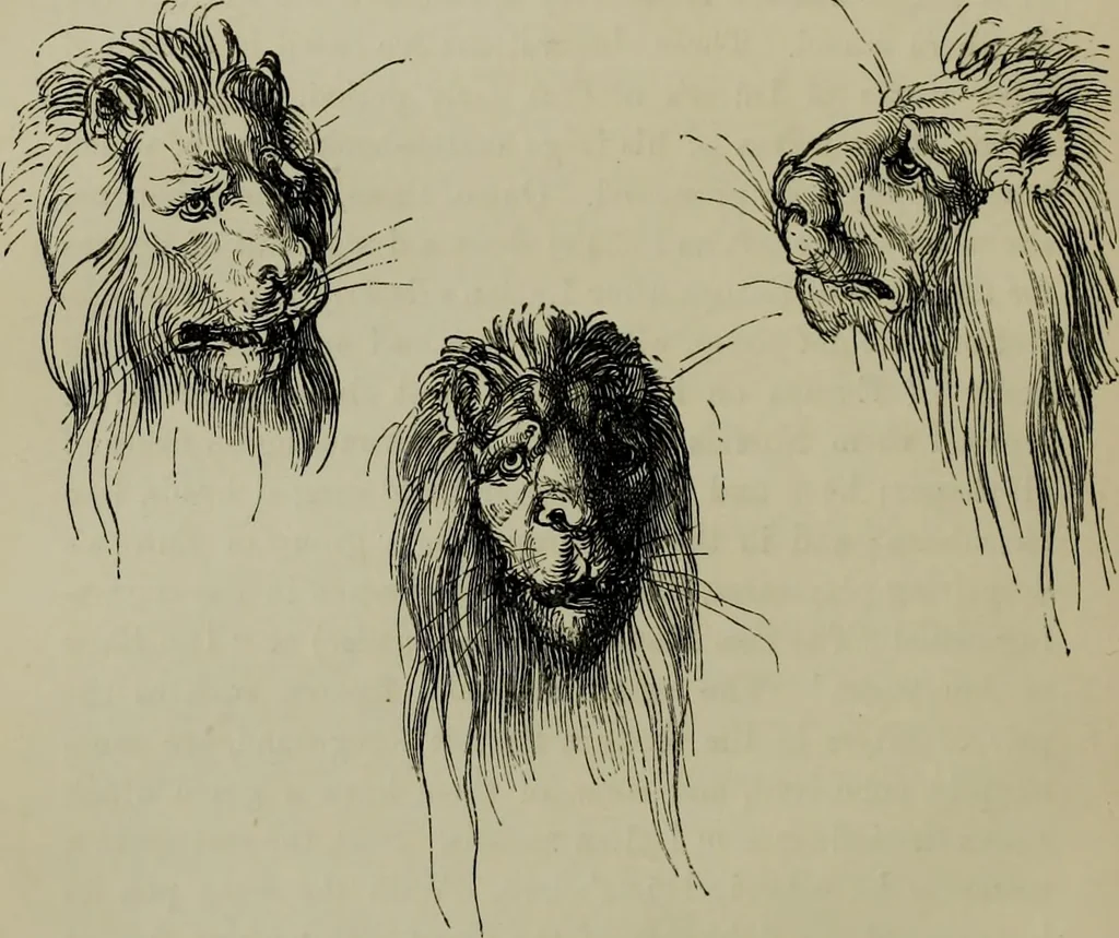 An illustration from Albert Dürer, his life and works, 1882, leaf 137