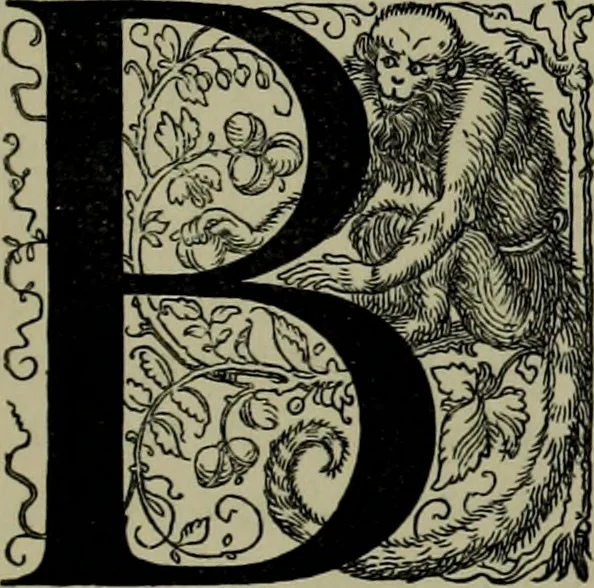 An illustration from Albert Dürer, his life and works, 1882, leaf 220
