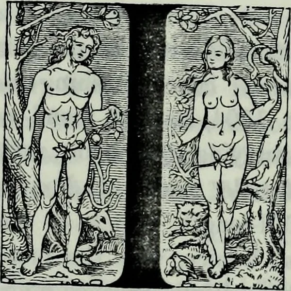 An illustration from Albert Dürer, his life and works, 1882, leaf 16