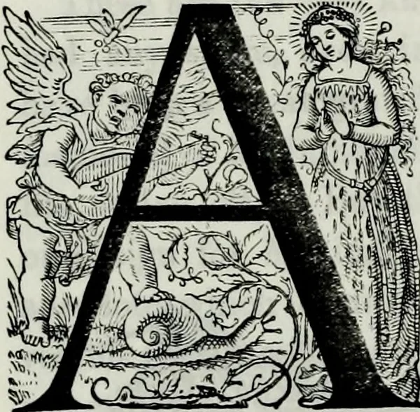 An illustration from Albert Dürer, his life and works, 1882, leaf 203
