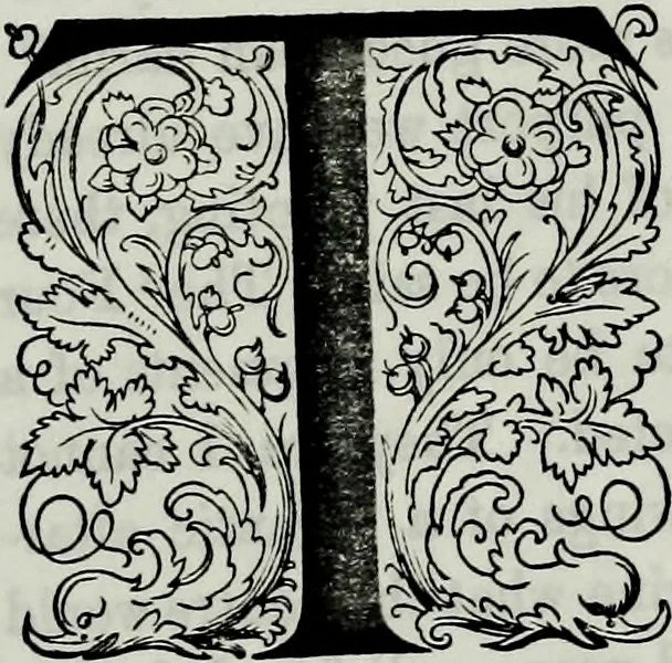 An illustration from Albert Dürer, his life and works, 1882, leaf 321