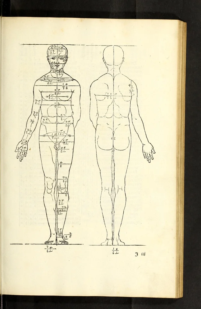 An illustration from Alberti Dureri Clarissimi pictoris et geometrae de symmetria partium in rectis formis humanorum corporum, 1532, leaf 105