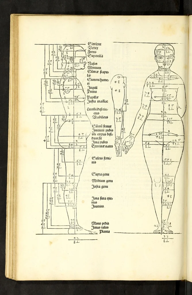 An illustration from Alberti Dureri Clarissimi pictoris et geometrae de symmetria partium in rectis formis humanorum corporum, 1532, leaf 112
