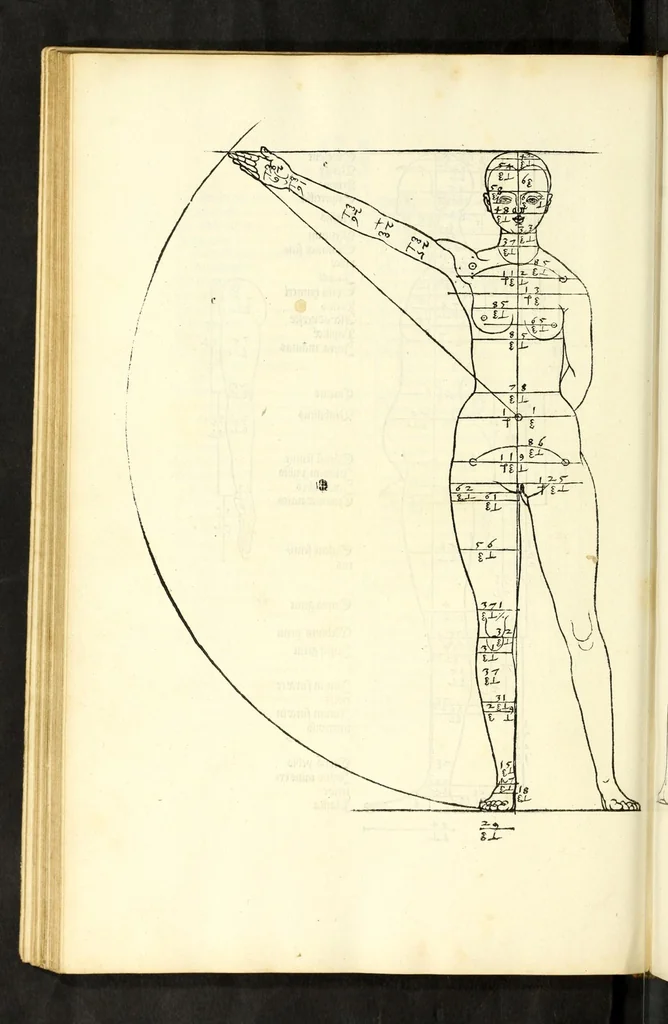 An illustration from Alberti Dureri Clarissimi pictoris et geometrae de symmetria partium in rectis formis humanorum corporum, 1532, leaf 122