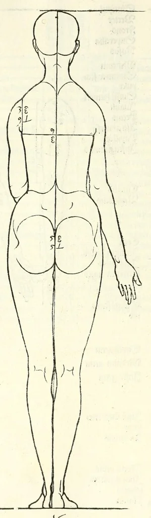 An illustration from Alberti Dureri Clarissimi pictoris et geometrae de symmetria partium in rectis formis humanorum corporum, 1532, leaf 162