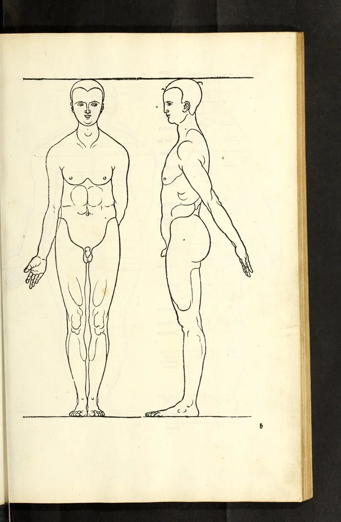 An illustration from Alberti Dureri Clarissimi pictoris et geometrae de symmetria partium in rectis formis humanorum corporum, 1532, leaf 181