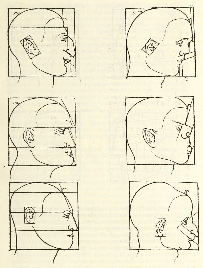 An illustration from Alberti Dureri Clarissimi pictoris et geometrae de symmetria partium in rectis formis humanorum corporum, 1532, leaf 201
