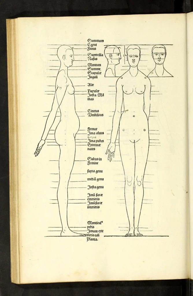 An illustration from Alberti Dureri Clarissimi pictoris et geometrae de symmetria partium in rectis formis humanorum corporum, 1532, leaf 214