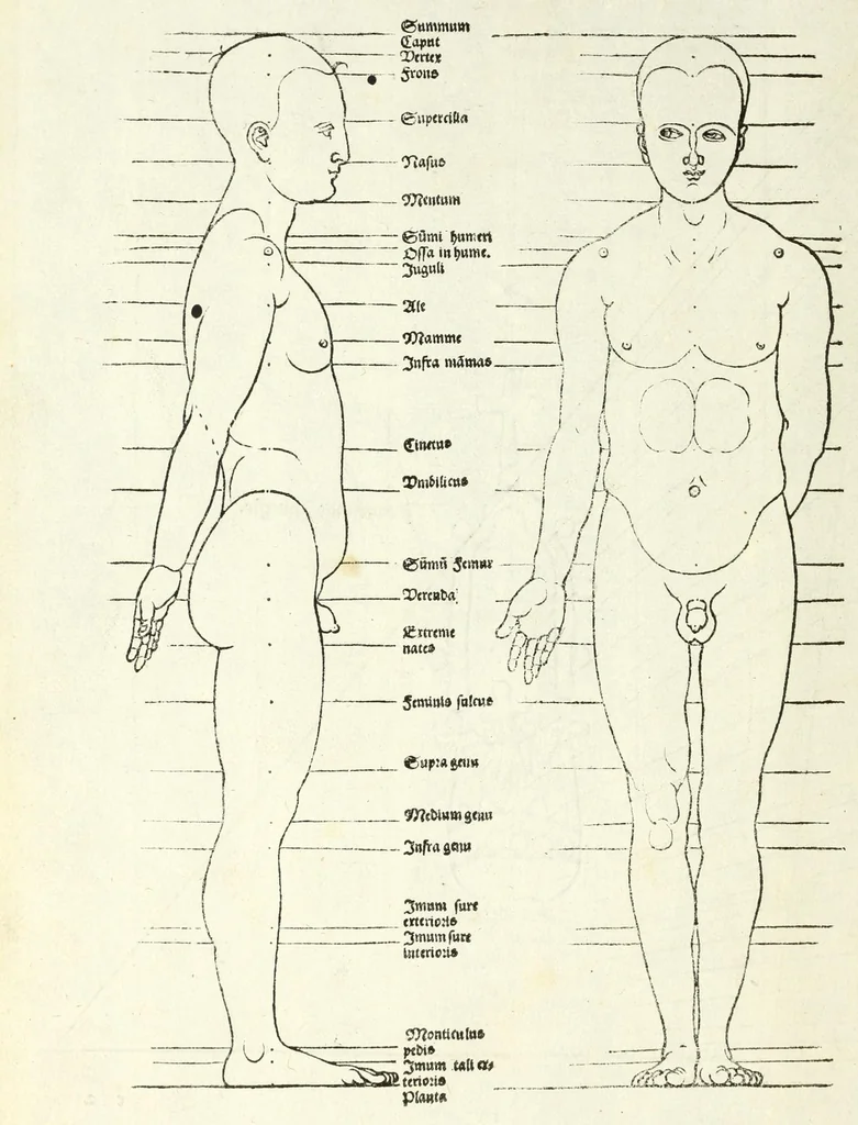 An illustration from Alberti Dureri Clarissimi pictoris et geometrae de symmetria partium in rectis formis humanorum corporum, 1532, leaf 222