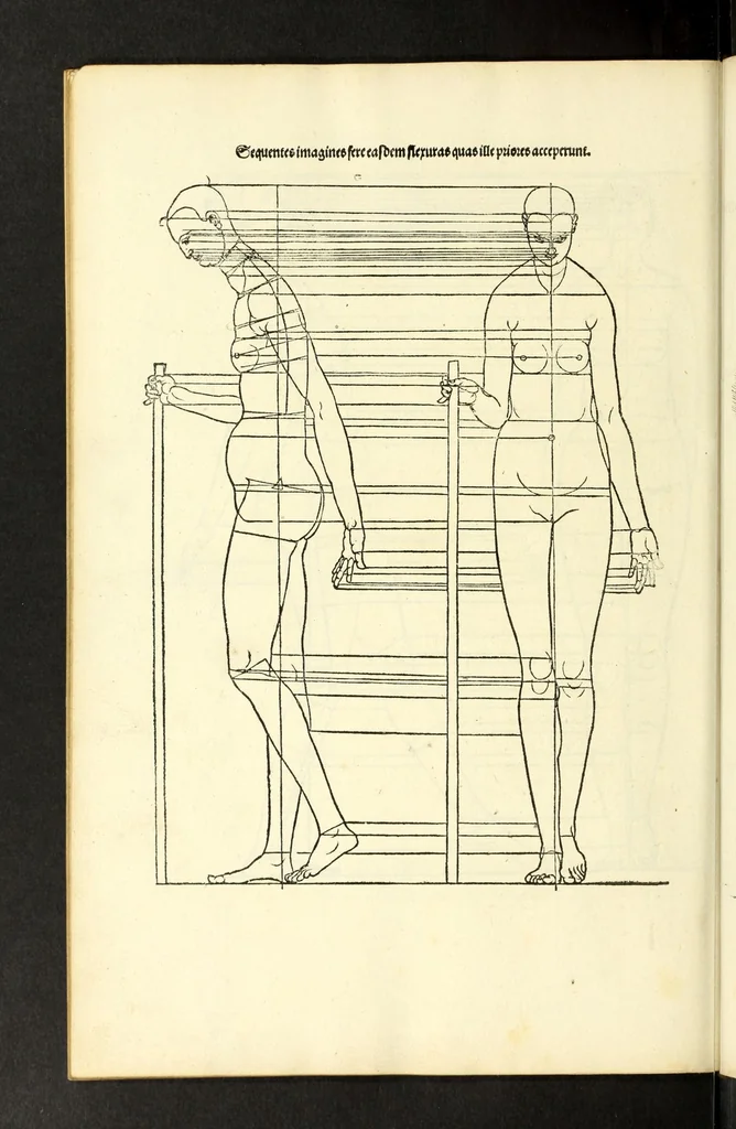 An illustration from Alberti Dureri Clarissimi pictoris et geometrae de symmetria partium in rectis formis humanorum corporum, 1532, leaf 258