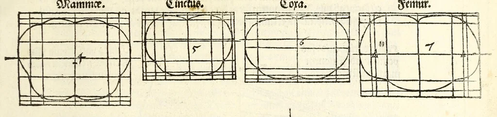 An illustration from Alberti Dureri Clarissimi pictoris et geometrae de symmetria partium in rectis formis humanorum corporum, 1532, leaf 273