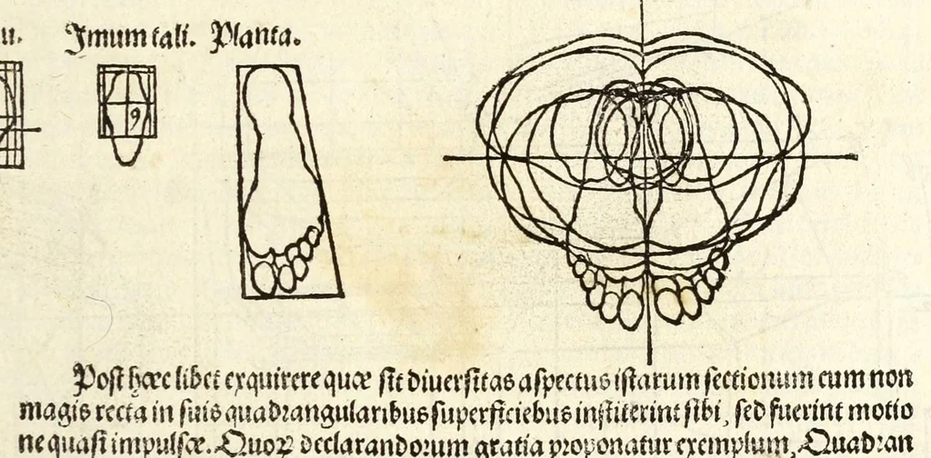 An illustration from Alberti Dureri Clarissimi pictoris et geometrae de symmetria partium in rectis formis humanorum corporum, 1532, leaf 273