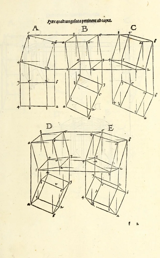 An illustration from Alberti Dureri Clarissimi pictoris et geometrae de symmetria partium in rectis formis humanorum corporum, 1532, leaf 277