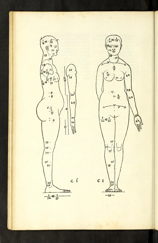 An illustration from Alberti Dureri Clarissimi pictoris et geometrae de symmetria partium in rectis formis humanorum corporum, 1532, leaf 46