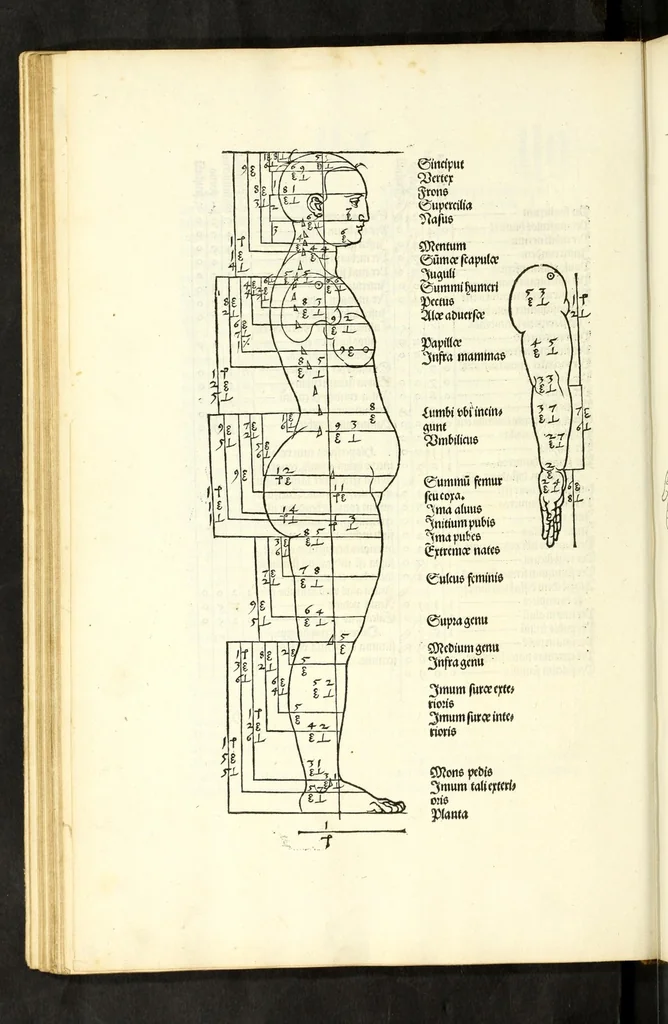 An illustration from Alberti Dureri Clarissimi pictoris et geometrae de symmetria partium in rectis formis humanorum corporum, 1532, leaf 90