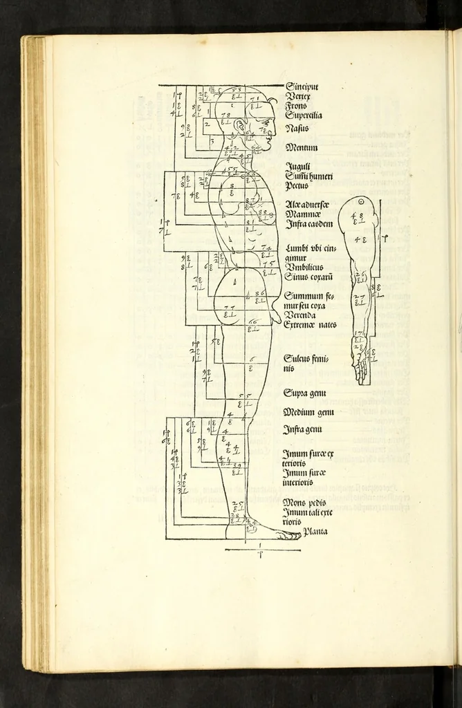 An illustration from Alberti Dureri Clarissimi pictoris et geometrae de symmetria partium in rectis formis humanorum corporum, 1532, leaf 94