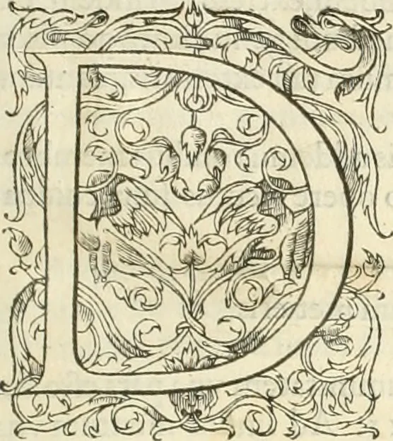 An illustration from Alberti Dvreri clarissimi pictoris et geometrae De symmetria partium humanorum corporum libri quatuor : è germanica lingua in latinam versi, 1557, leaf 10