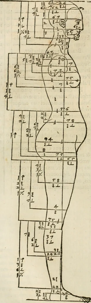 An illustration from Alberti Dvreri clarissimi pictoris et geometrae De symmetria partium humanorum corporum libri quatuor : è germanica lingua in latinam versi, 1557, leaf 103