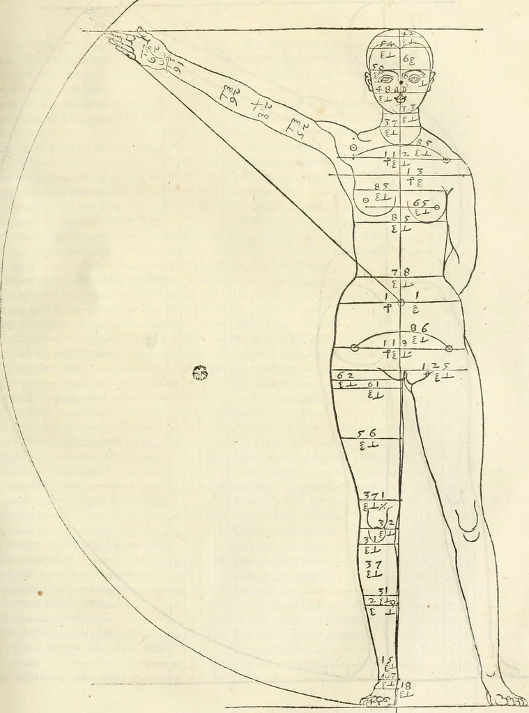 An illustration from Alberti Dvreri clarissimi pictoris et geometrae De symmetria partium humanorum corporum libri quatuor : è germanica lingua in latinam versi, 1557, leaf 104