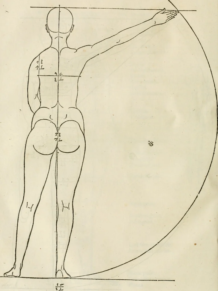 An illustration from Alberti Dvreri clarissimi pictoris et geometrae De symmetria partium humanorum corporum libri quatuor : è germanica lingua in latinam versi, 1557, leaf 105