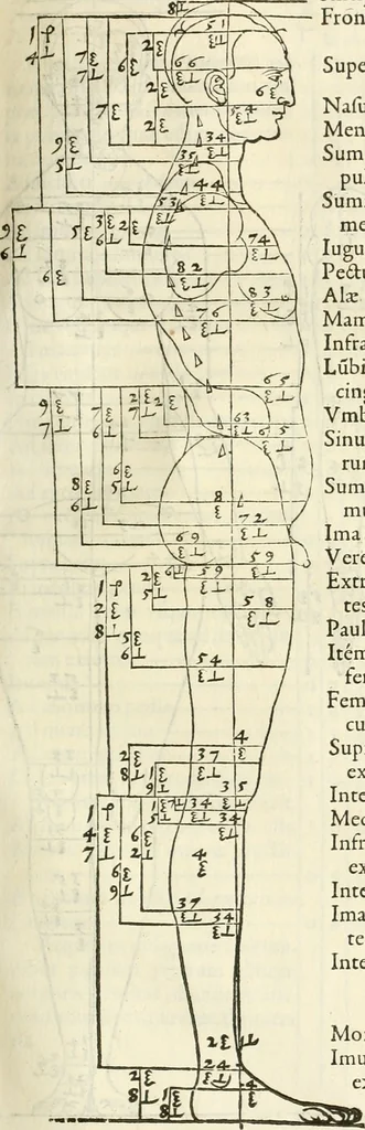 An illustration from Alberti Dvreri clarissimi pictoris et geometrae De symmetria partium humanorum corporum libri quatuor : è germanica lingua in latinam versi, 1557, leaf 110