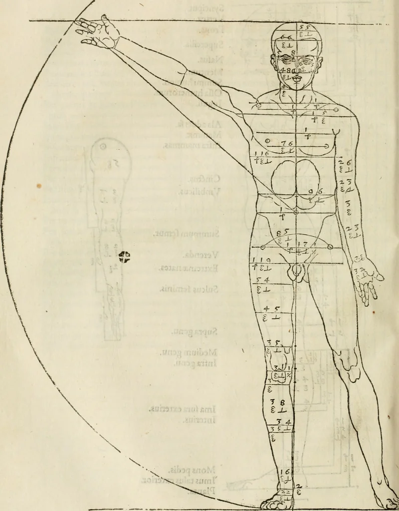 An illustration from Alberti Dvreri clarissimi pictoris et geometrae De symmetria partium humanorum corporum libri quatuor : è germanica lingua in latinam versi, 1557, leaf 115
