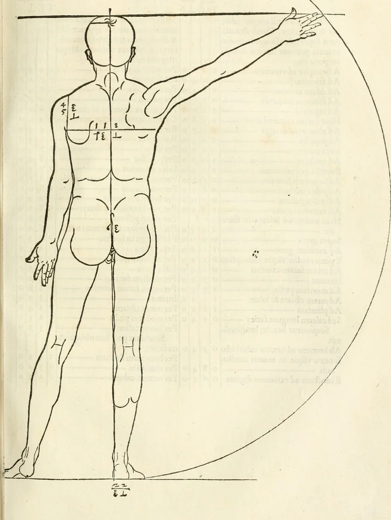 An illustration from Alberti Dvreri clarissimi pictoris et geometrae De symmetria partium humanorum corporum libri quatuor : è germanica lingua in latinam versi, 1557, leaf 116