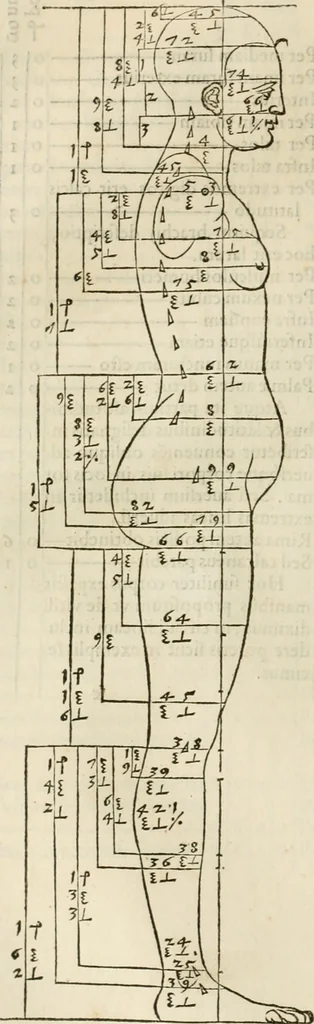 An illustration from Alberti Dvreri clarissimi pictoris et geometrae De symmetria partium humanorum corporum libri quatuor : è germanica lingua in latinam versi, 1557, leaf 119