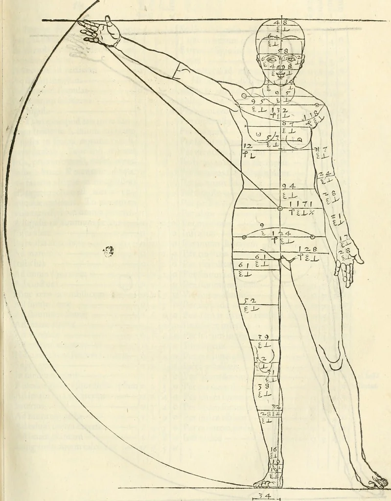An illustration from Alberti Dvreri clarissimi pictoris et geometrae De symmetria partium humanorum corporum libri quatuor : è germanica lingua in latinam versi, 1557, leaf 120