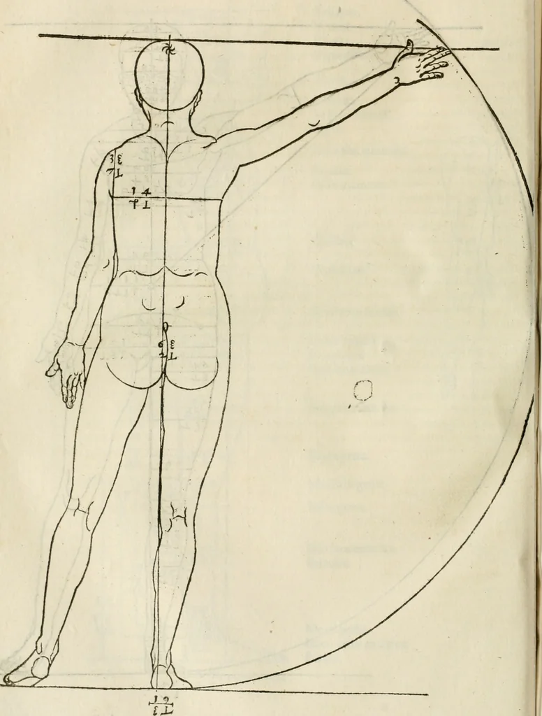 An illustration from Alberti Dvreri clarissimi pictoris et geometrae De symmetria partium humanorum corporum libri quatuor : è germanica lingua in latinam versi, 1557, leaf 121