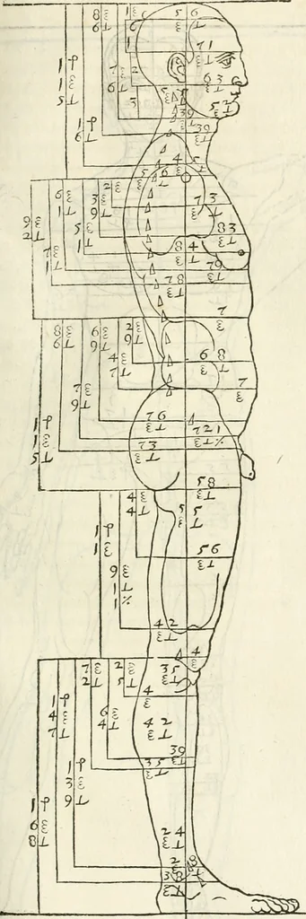 An illustration from Alberti Dvreri clarissimi pictoris et geometrae De symmetria partium humanorum corporum libri quatuor : è germanica lingua in latinam versi, 1557, leaf 124