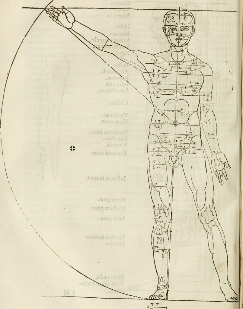 An illustration from Alberti Dvreri clarissimi pictoris et geometrae De symmetria partium humanorum corporum libri quatuor : è germanica lingua in latinam versi, 1557, leaf 125