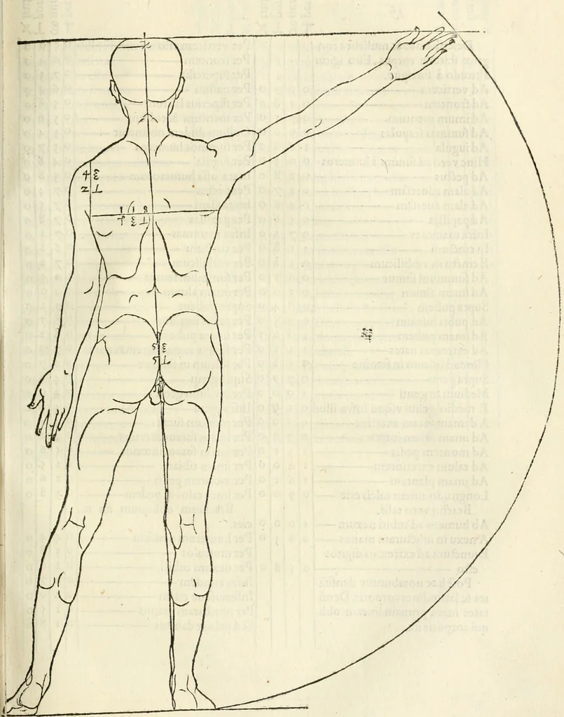 An illustration from Alberti Dvreri clarissimi pictoris et geometrae De symmetria partium humanorum corporum libri quatuor : è germanica lingua in latinam versi, 1557, leaf 126