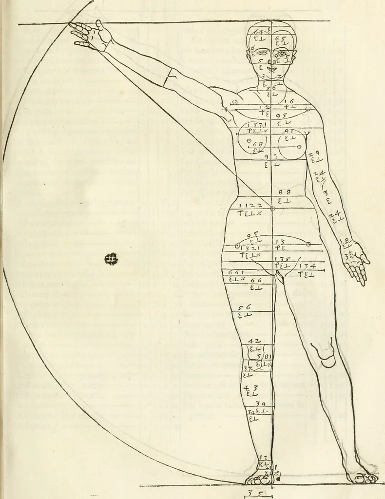 An illustration from Alberti Dvreri clarissimi pictoris et geometrae De symmetria partium humanorum corporum libri quatuor : è germanica lingua in latinam versi, 1557, leaf 130