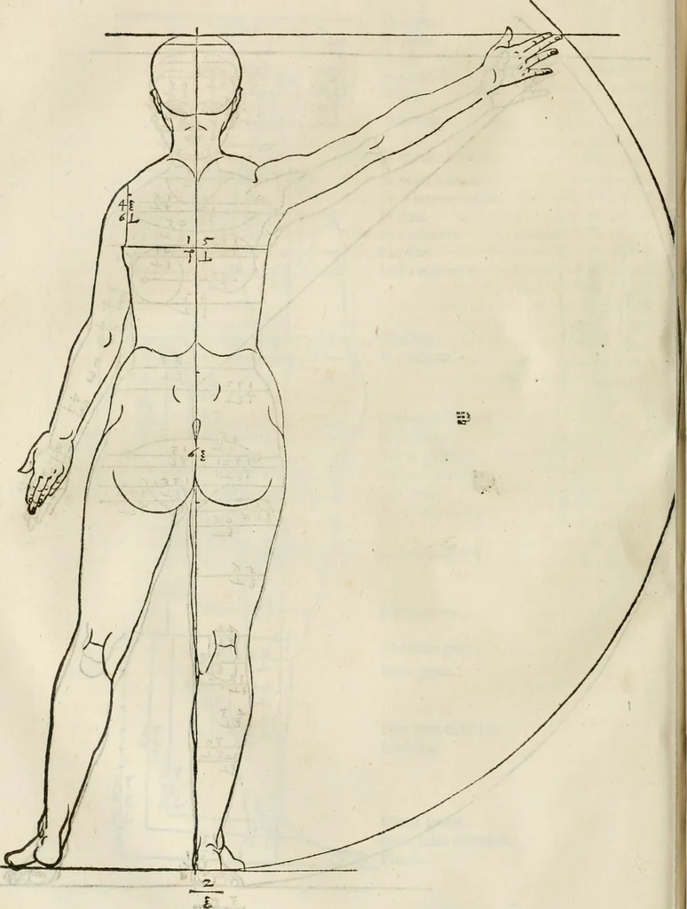 An illustration from Alberti Dvreri clarissimi pictoris et geometrae De symmetria partium humanorum corporum libri quatuor : è germanica lingua in latinam versi, 1557, leaf 131