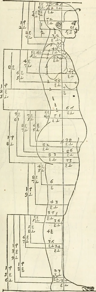 An illustration from Alberti Dvreri clarissimi pictoris et geometrae De symmetria partium humanorum corporum libri quatuor : è germanica lingua in latinam versi, 1557, leaf 134