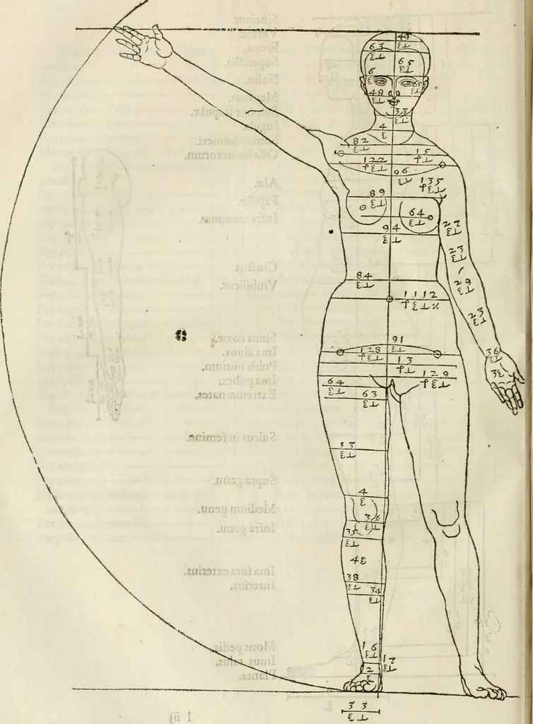 An illustration from Alberti Dvreri clarissimi pictoris et geometrae De symmetria partium humanorum corporum libri quatuor : è germanica lingua in latinam versi, 1557, leaf 135