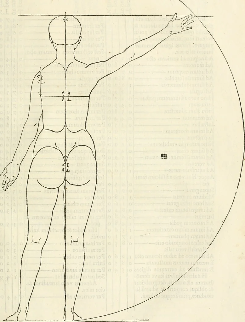 An illustration from Alberti Dvreri clarissimi pictoris et geometrae De symmetria partium humanorum corporum libri quatuor : è germanica lingua in latinam versi, 1557, leaf 136