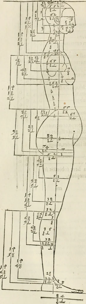 An illustration from Alberti Dvreri clarissimi pictoris et geometrae De symmetria partium humanorum corporum libri quatuor : è germanica lingua in latinam versi, 1557, leaf 143