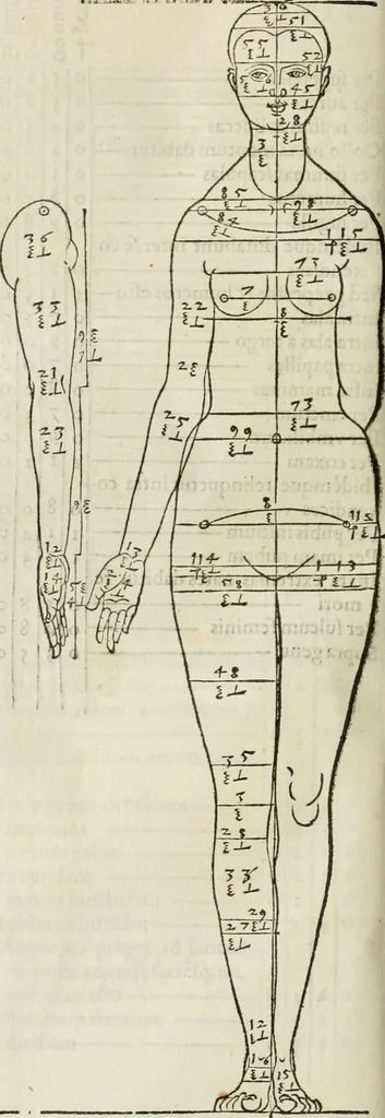 An illustration from Alberti Dvreri clarissimi pictoris et geometrae De symmetria partium humanorum corporum libri quatuor : è germanica lingua in latinam versi, 1557, leaf 143