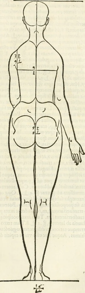 An illustration from Alberti Dvreri clarissimi pictoris et geometrae De symmetria partium humanorum corporum libri quatuor : è germanica lingua in latinam versi, 1557, leaf 144