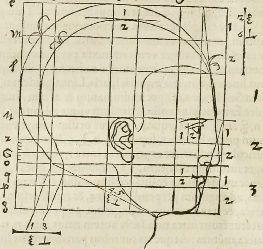 An illustration from Alberti Dvreri clarissimi pictoris et geometrae De symmetria partium humanorum corporum libri quatuor : è germanica lingua in latinam versi, 1557, leaf 147