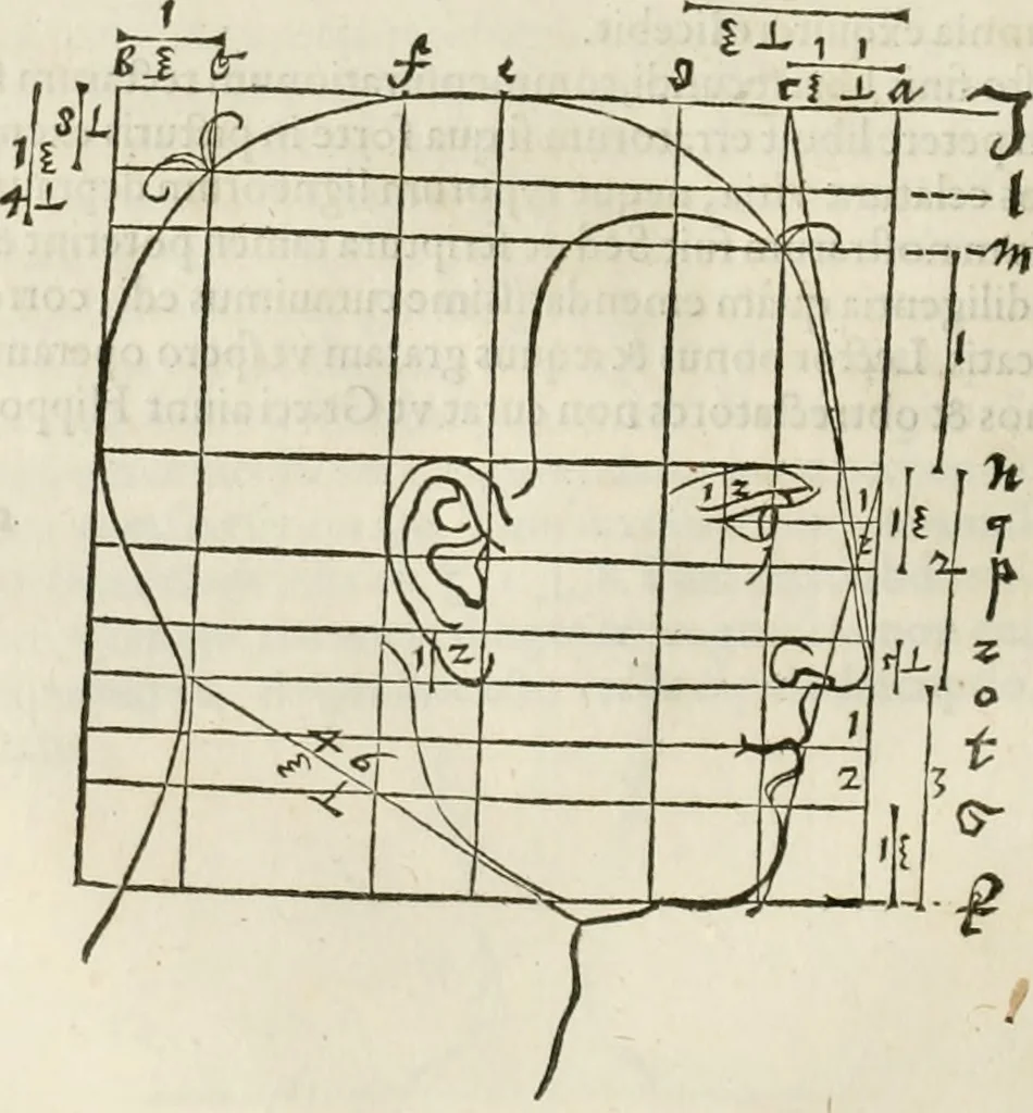 An illustration from Alberti Dvreri clarissimi pictoris et geometrae De symmetria partium humanorum corporum libri quatuor : è germanica lingua in latinam versi, 1557, leaf 147