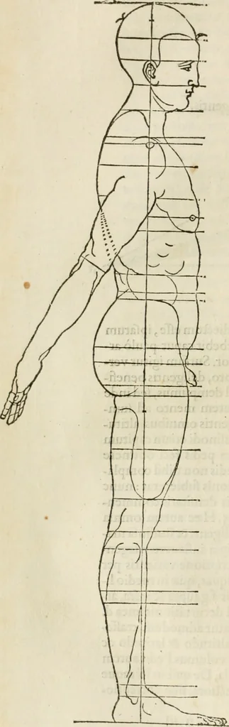 An illustration from Alberti Dvreri clarissimi pictoris et geometrae De symmetria partium humanorum corporum libri quatuor : è germanica lingua in latinam versi, 1557, leaf 155